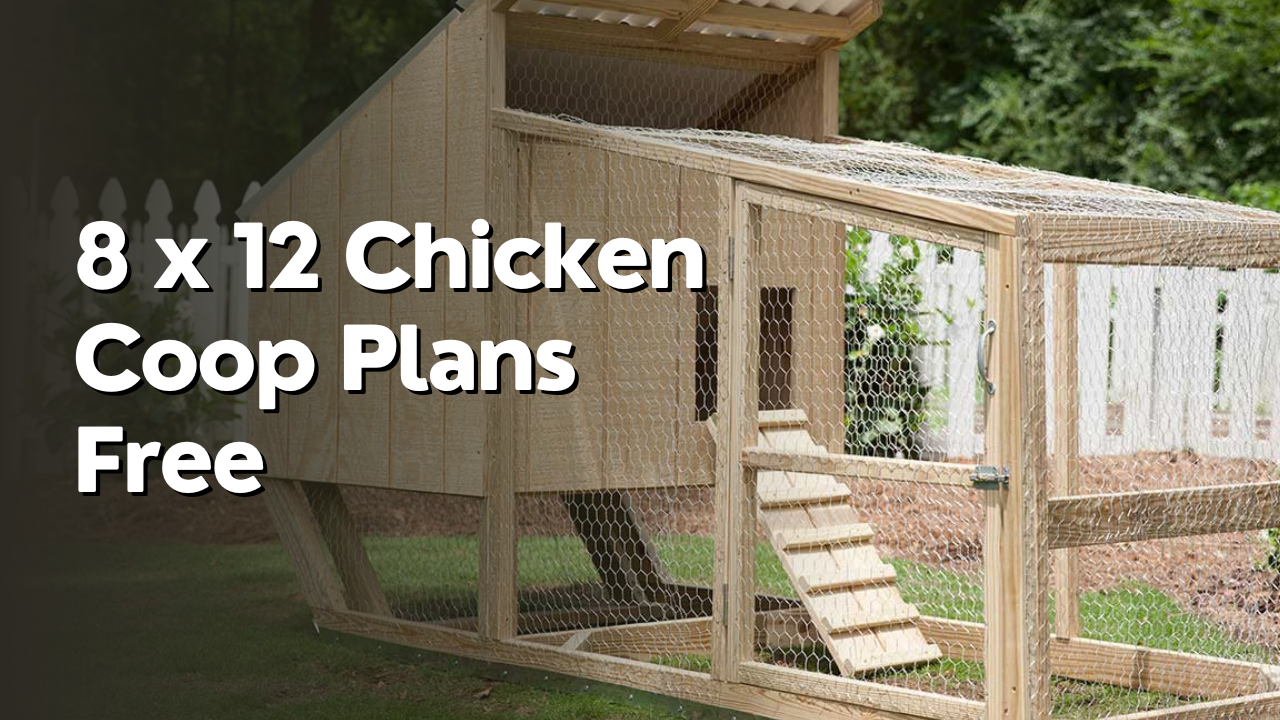8 X 12 Chicken Coop Plans Free