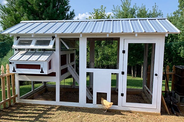 Additional Resources For Chicken Keeping And Coop Design