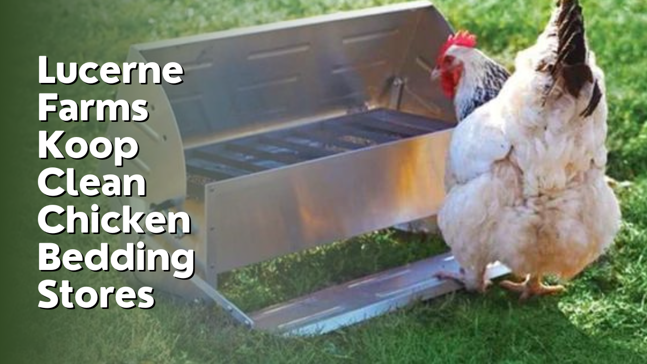 Lucerne Farms Koop Clean Chicken Bedding Stores