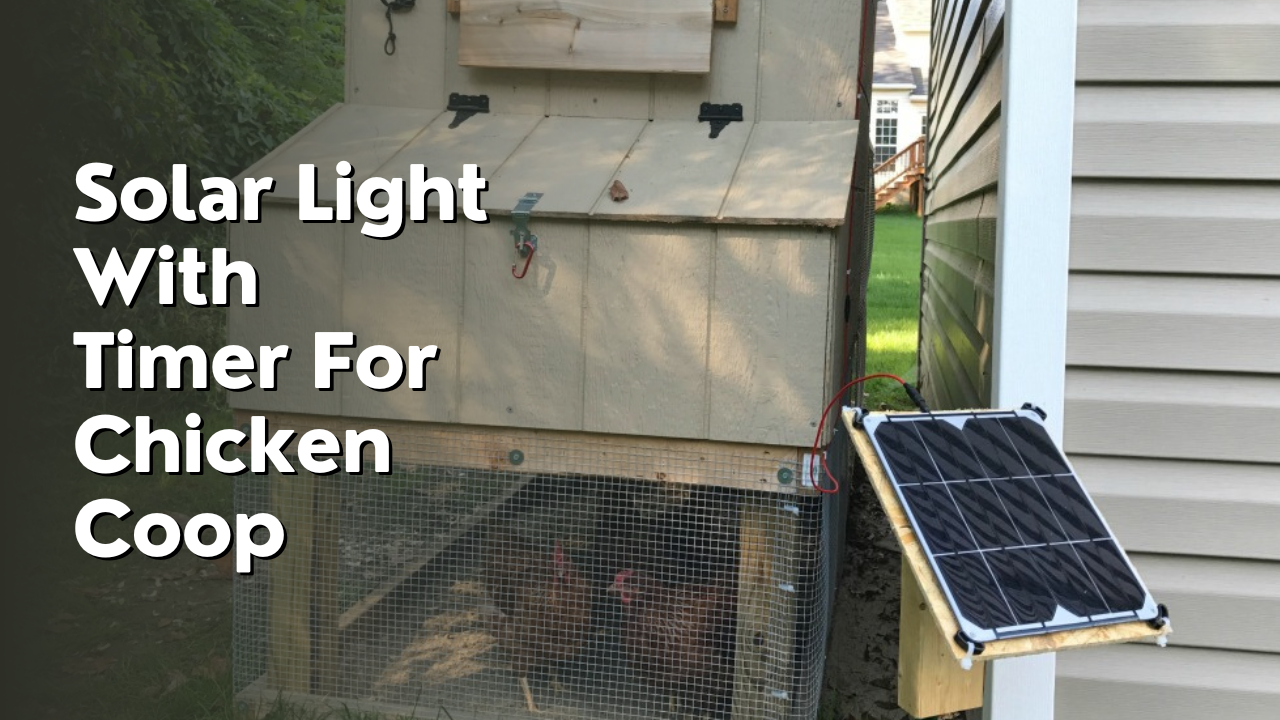 solar light with timer for chicken coop