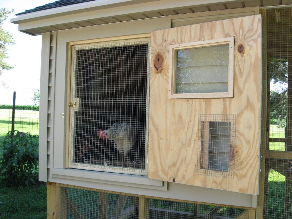 The Role Of Ventilation In Chicken Coops