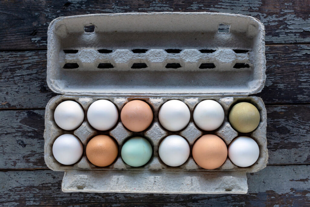 The Science Behind Colored Egg Production