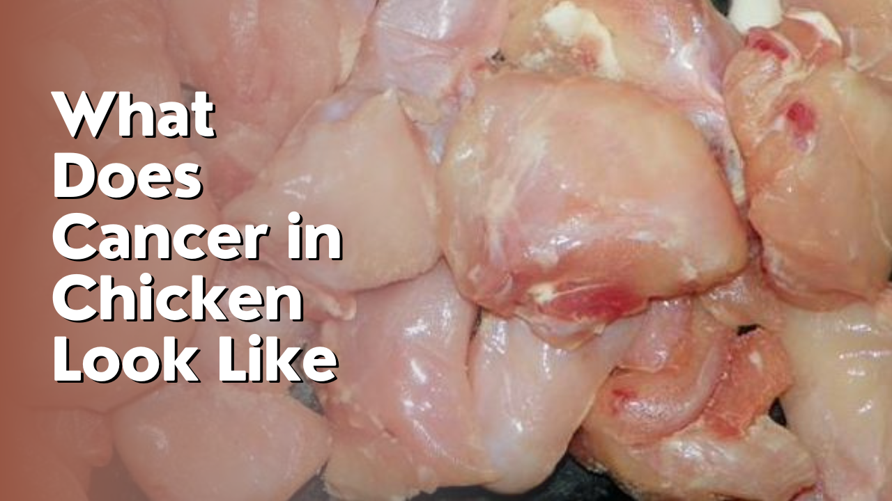 What Does Cancer in Chicken Look Like