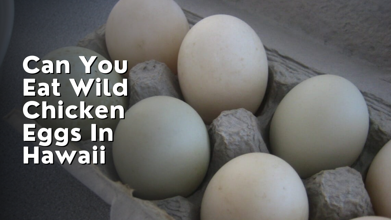 Can You Eat Wild Chicken Eggs In Hawaii?