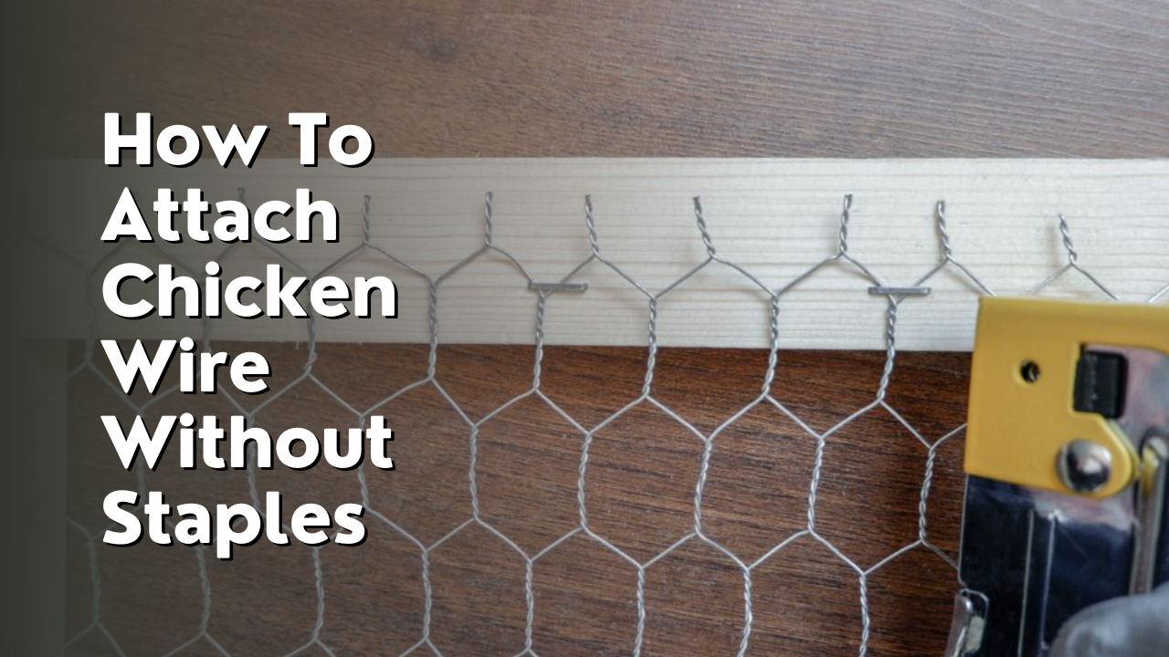 how to attach chicken wire without staples