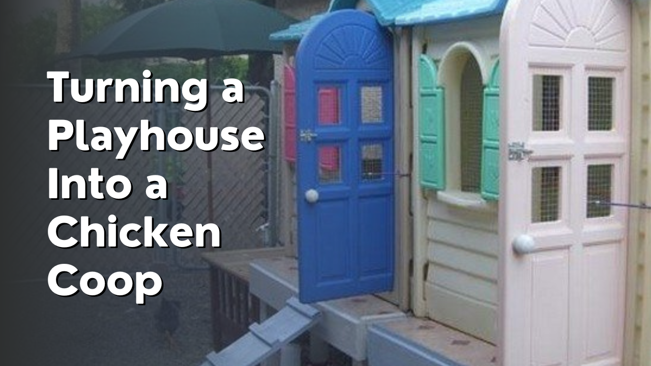 turning a playhouse into a chicken coop