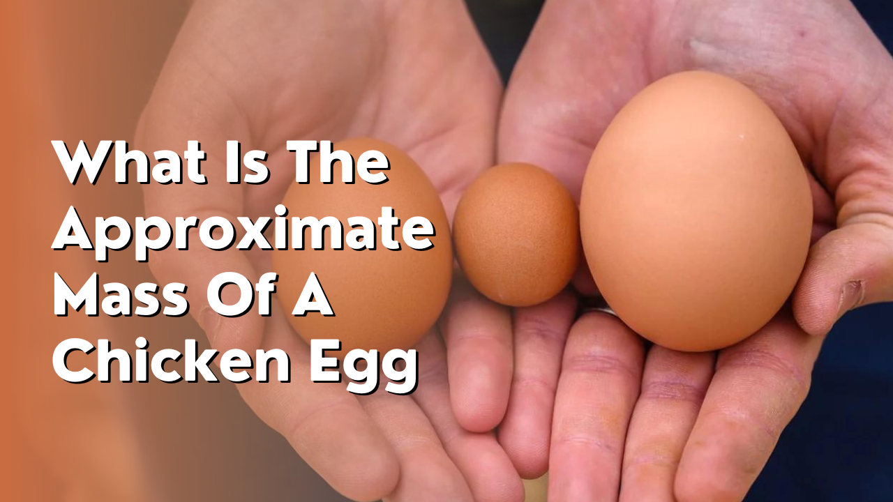 what is the approximate mass of a chicken egg